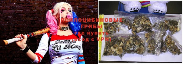 гидропоника Магас