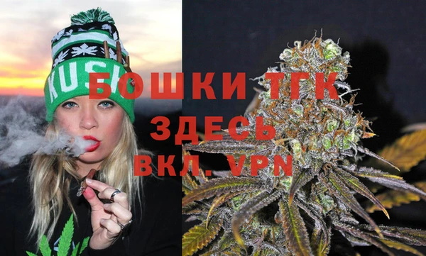 гидропоника Магас