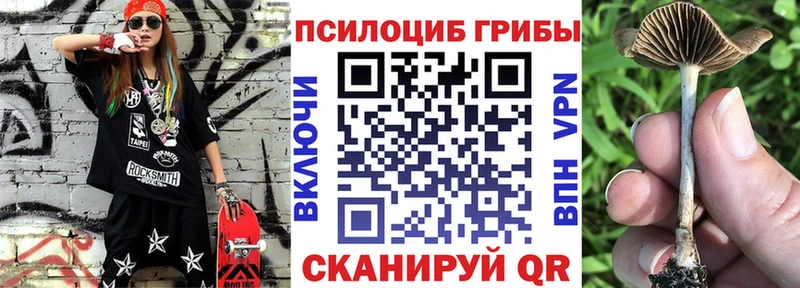 Галлюциногенные грибы Magic Shrooms  как найти   нарко площадка какой сайт  Липецк 