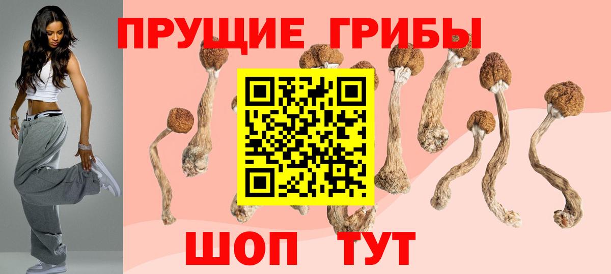 Галлюциногенные грибы Psilocybe  Вход с VPN  Псилоцибиновые грибы Magic Shrooms  Липецк 